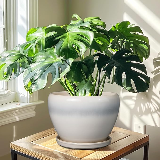 10 Inch Ceramic Planter Pot - Large Plant Pot with Drainage Hole and Saucer Round Flower Pot for Indoor Plants, White