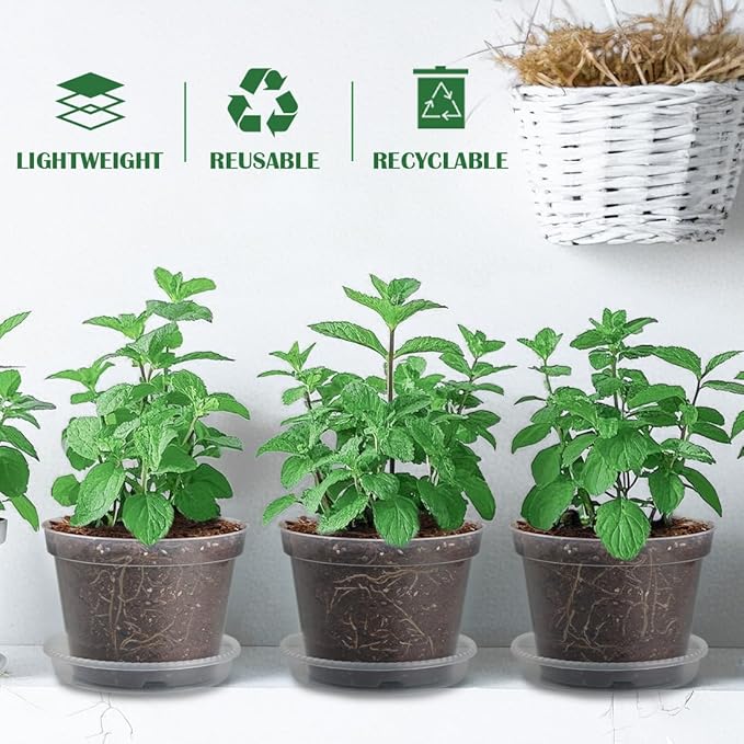 7 Pack 8 Inch Clear Nursery Pots with Saucer, Transparent Plastic Plant Pot with Drainage Holes, Sturdy Plant Starter Pots, Planter Pot for Planting Succulent Flower Herb Vegetable, Gardening Gifts