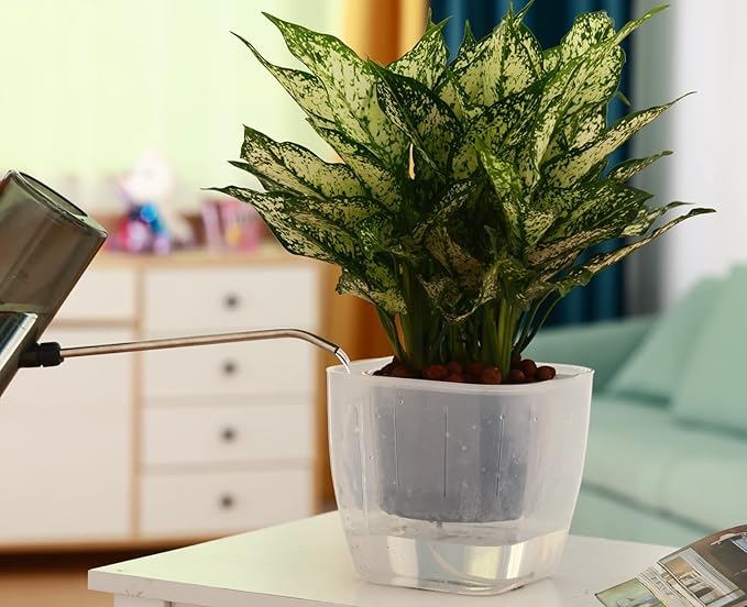 3-Pack Clear Self Watering Planters for Indoor Plants 7" Large African Violet Plant Pots Plastic Wick Flower Pots with Water Injection Hole, Orchid Plant Pot Set, Clear