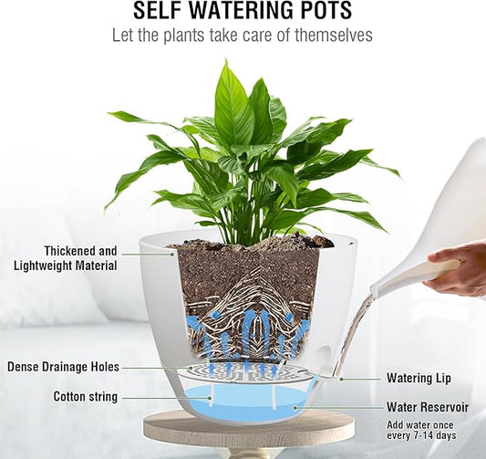 10 inch Self Watering Hanging Planters, 2 Pack Hanging Flower Pots for Indoor Outdoor Plants, Hanging Baskets with Drainage Holes & 2 Kinds of Plant Hangers for Garden Home Decor, White