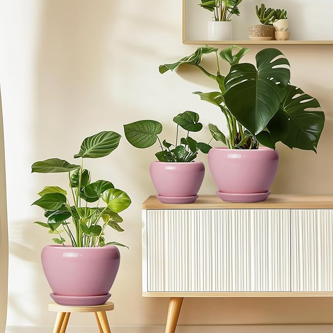 10 Inch Plant Pot - Ceramic Planter for Indoor Plants, Glaze Modern Round Planter with Drainage Hole and Saucer, Gifts for Plant Lovers, Office Patio Home Room Decor, Pink