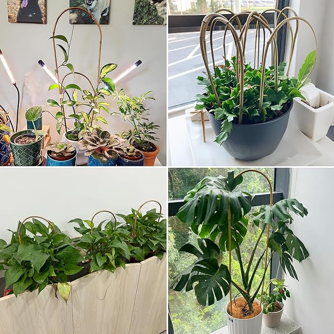 Avalution 16" Natural Bamboo Plants Trellis U-Hoop,Bamboo Gaeden Trellis U-Shape for Climbing Plant Support-10PCS