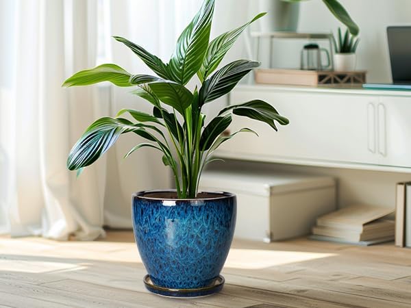 8 Inch Ceramic Planter Pot with Drainage Hole and Saucer, Ceraimc Plant Pot Round Flower Pot for Indoor Plants Outdoor Garden Planter, Blue