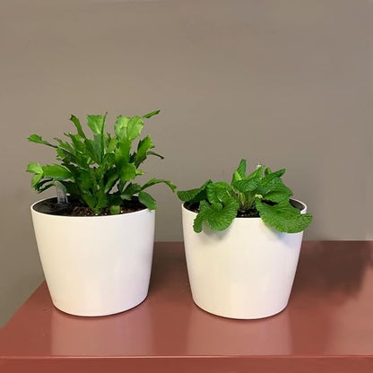 KINJOEK 3 Packs 7 Inch Self Watering Pot with Water Level Indicator, Modern Garden Decorative White Flower Pot, Flowers, African Violets, Succulents, White