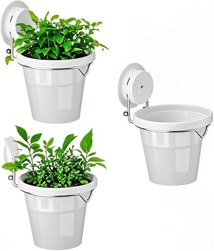 Set of 3 Plastic Window Planter with Suction Cup Holder. Large Window Popagation. Clear Self Watering Window Mounted Plant Pots. Window Sill Planters Extender for Indoor Hydroponic Plants