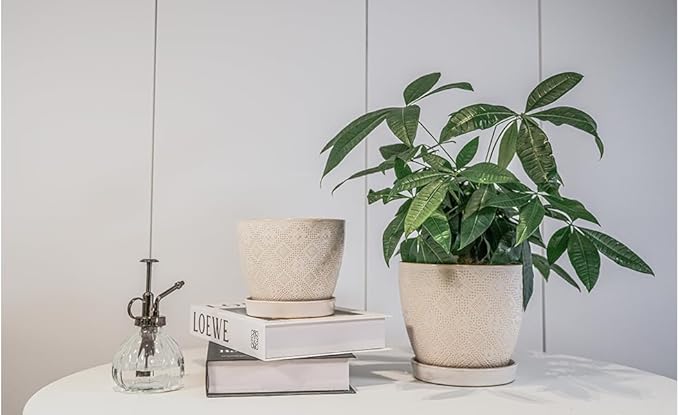 Docrin Ceramic Plant Pots Indoor, 6.6 + 5.5 Inch Planters with Drainage Holes and Saucer for Home/Office - Set of 2 /White