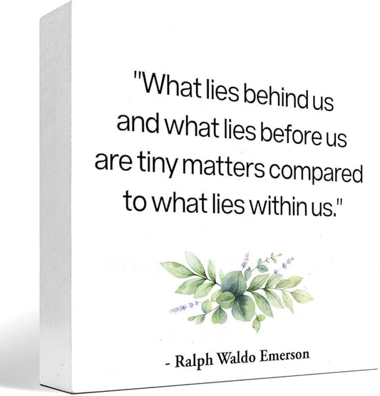 Inspirational Wood Box Sign Desk Decor,What Lies Before Us and What Lies Before Us Quote Wood Plaque Signs,Rustic Positive Wooden Block Sign Decor for Home Office Shelf Desk Table Decoration C1065