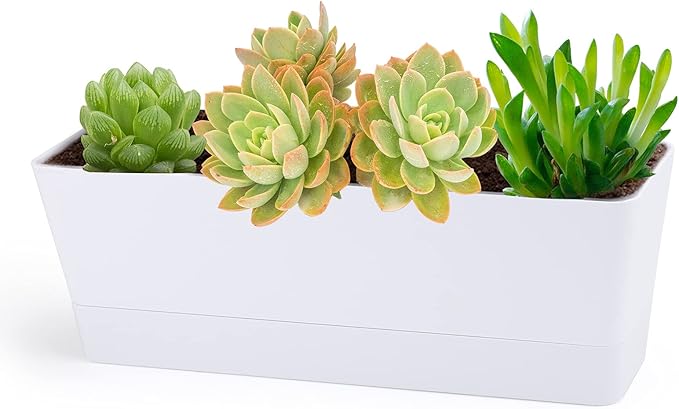 GREANER Herb Planter with Tray, 1 Pack 12x3.8 Inch Rectangle Window Box, Indoor Succulent Flowers Succulent Plastic Pot for Windowsill, Garden, Balcony, Office Outdoor Decoration - White
