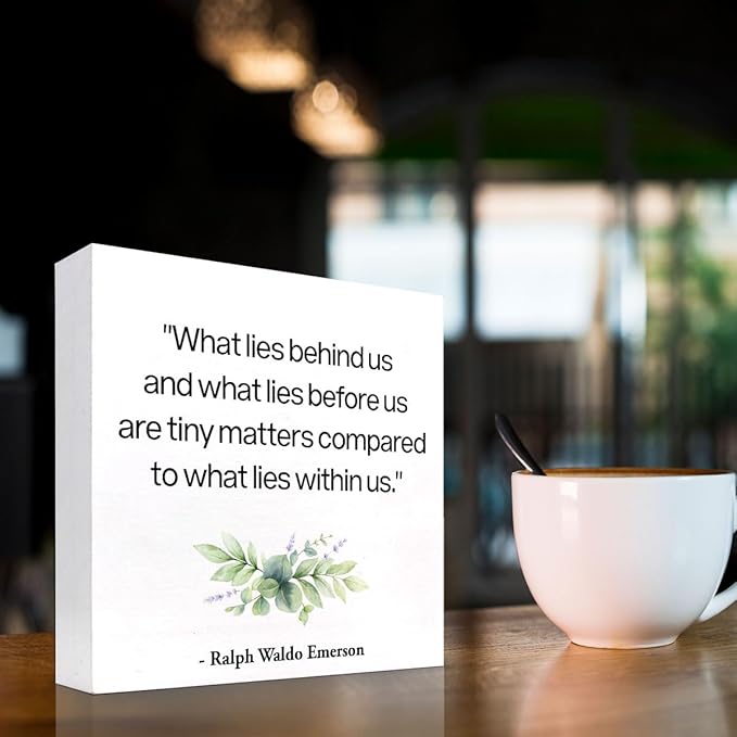 Inspirational Wood Box Sign Desk Decor,What Lies Before Us and What Lies Before Us Quote Wood Plaque Signs,Rustic Positive Wooden Block Sign Decor for Home Office Shelf Desk Table Decoration C1065