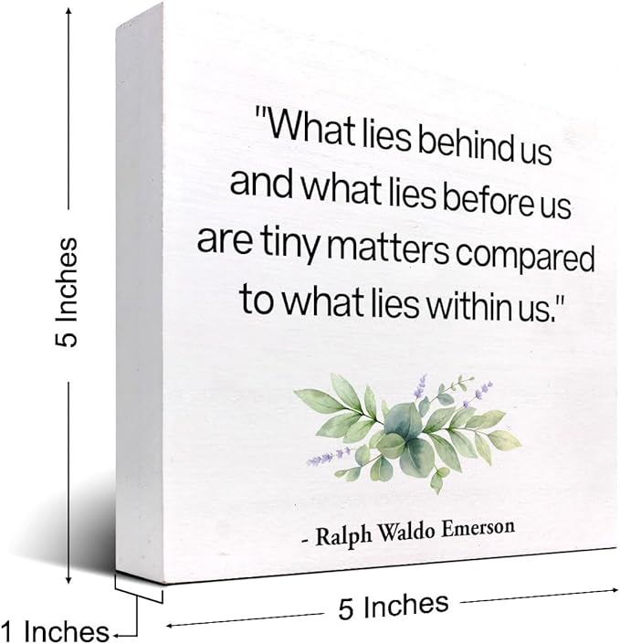 Inspirational Wood Box Sign Desk Decor,What Lies Before Us and What Lies Before Us Quote Wood Plaque Signs,Rustic Positive Wooden Block Sign Decor for Home Office Shelf Desk Table Decoration C1065