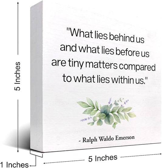 Inspirational Wood Box Sign Desk Decor,What Lies Before Us and What Lies Before Us Quote Wood Plaque Signs,Rustic Positive Wooden Block Sign Decor for Home Office Shelf Desk Table Decoration C1065