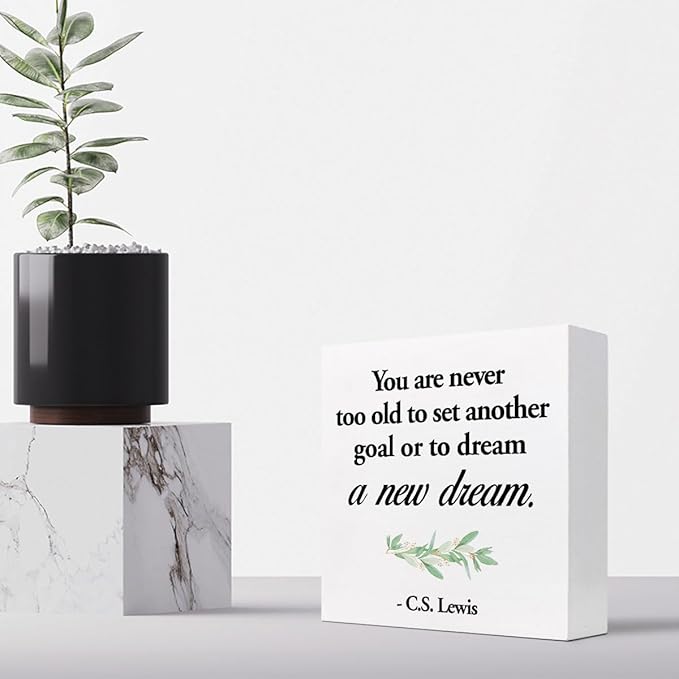 Inspirational Wood Box Sign Desk Decor,You are Never Too Old to Set Another Goal Wood Plaque Signs,Rustic Positive Wooden Block Sign for Home Office Shelf Desk Table Decoration C1064