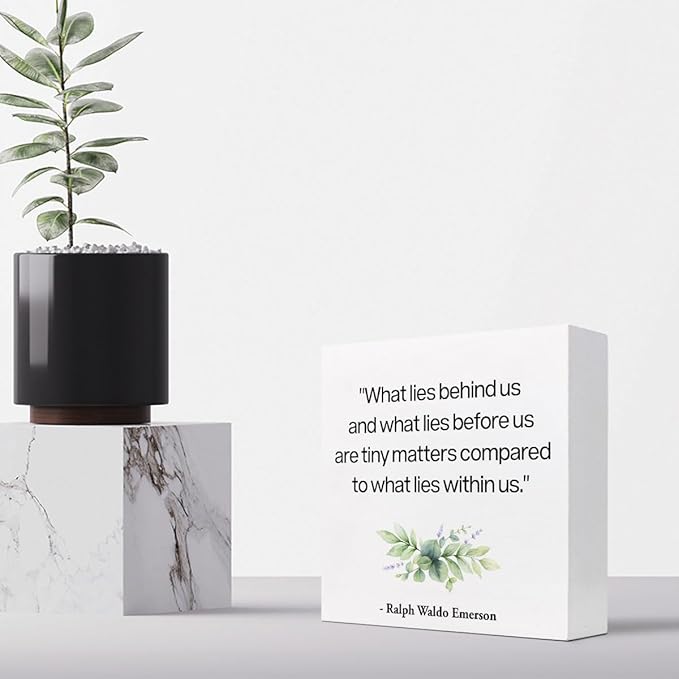 Inspirational Wood Box Sign Desk Decor,What Lies Before Us and What Lies Before Us Quote Wood Plaque Signs,Rustic Positive Wooden Block Sign Decor for Home Office Shelf Desk Table Decoration C1065