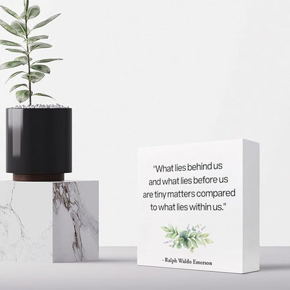 Inspirational Wood Box Sign Desk Decor,What Lies Before Us and What Lies Before Us Quote Wood Plaque Signs,Rustic Positive Wooden Block Sign Decor for Home Office Shelf Desk Table Decoration C1065