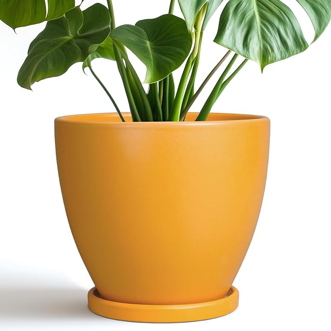 Ceramic Plant Pot - 8 Inch Planter for Indoor Outdoor Plants, Round Flower Pots with Drainage and Tray, Home Office Decor, Orange