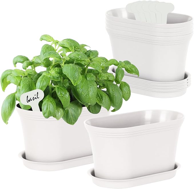 Windowsill Garden Pots, White Plastic Flower Pots with Drainage Tray for Herb, Succulents, African Violet (Pack of 6)