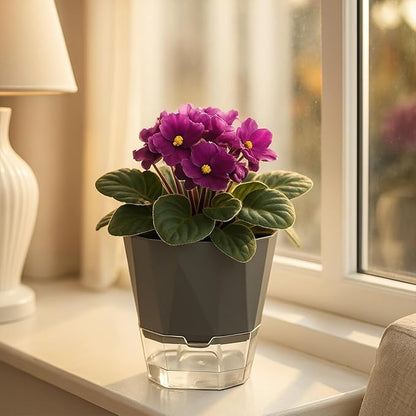 12 Pack Self Watering Plant Pots 6 Inches Self-Watering Planters for Indoor and Outdoor Plants African Violet Succulent Pots Clear Pot for Plants Large Herb Orchid Flower Houseplant Plant, Dark Grey