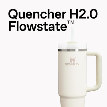 Stanley Quencher H2.0 Tumbler with Handle and Straw 14 oz | Flowstate 3-Position Lid | Cup Holder Compatible for Travel | Insulated Stainless Steel Cup | BPA-Free | Frost