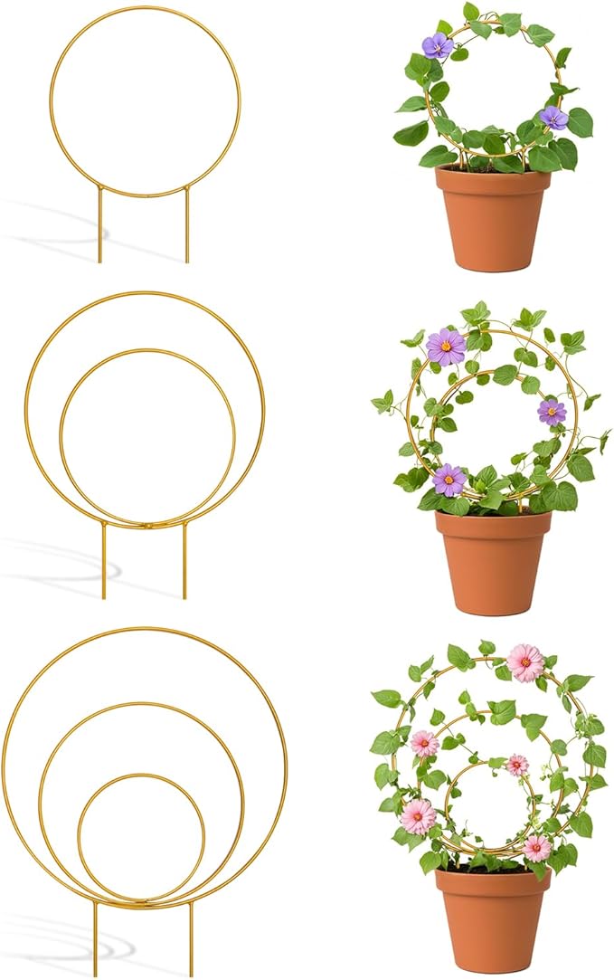3 Pack Premium Round Plant Trellis Indoor, Small Metal Plant Support Stake for Climbing Plants, Different Sizes Gold Garden Trellis for Ivy and Flowers Outdoor