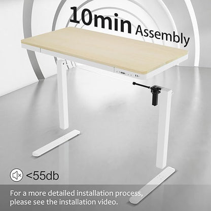 Electric Standing Desk with Drawers, Whole Piece 48 Inches Adjustable Height Desk, Modern Sit Stand Up Desk,Ergonomic Rising Desk for Home Office Workstation, Light Wood