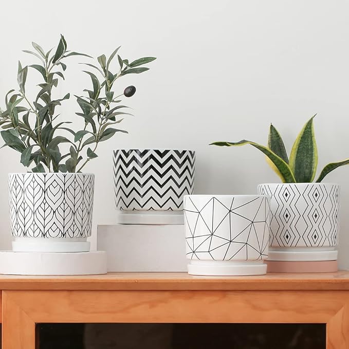 Ton Sin Plant Pots,5.5 Inch White Pots for Indoor Plants with Drainage Holes,Cylinder Flower Pot Ceramic Planters with Saucer,Cactus Succulent Outdoor Garden Pots Set of 4