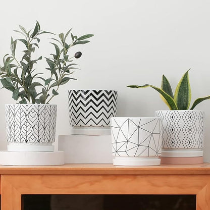 Ton Sin Plant Pots,5.5 Inch White Pots for Indoor Plants with Drainage Holes,Cylinder Flower Pot Ceramic Planters with Saucer,Cactus Succulent Outdoor Garden Pots Set of 4