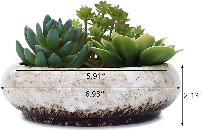 VanEnjoy 7.3 inch Round Large Shallow Succulent Ceramic Glazed Planter Pots with Drainage Hole, Bonsai Pots Garden Decorative Cactus Stand Flower Container (White)