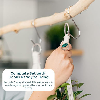 Nook Theory 4-Pack Macrame Plant Hangers with 8 Hooks - Hanging Planters for Indoor Plants, Boho Macrame Hangers Indoor Outdoor, Decorative Plant Hanger Indoor (Caramel)
