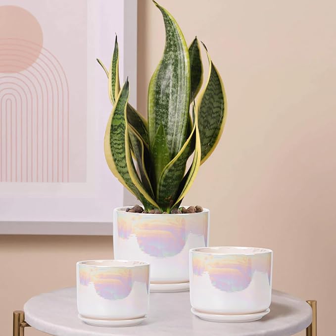 EFISPSS Plant Pots, 4+5+6 Inch Pots for Indoor Plants,Ceramic Planter Pot with Drainage Hole,Flower Pots for Succulent Cactus,Set of 3 - Rainbow Pearl Glaze