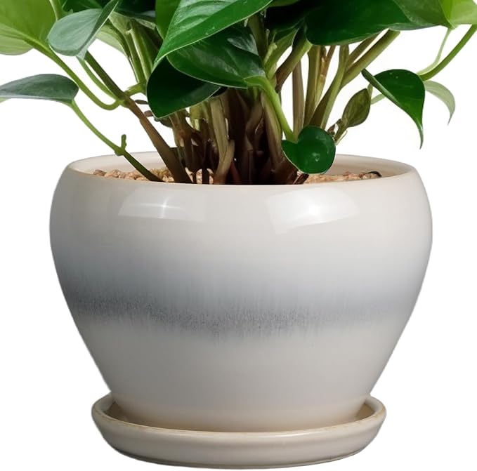Planter Pot 6 Inch - Ceramic Plant Pot with Drainage Hole and Saucer, Round Glaze Succulent Pot for Plants, White