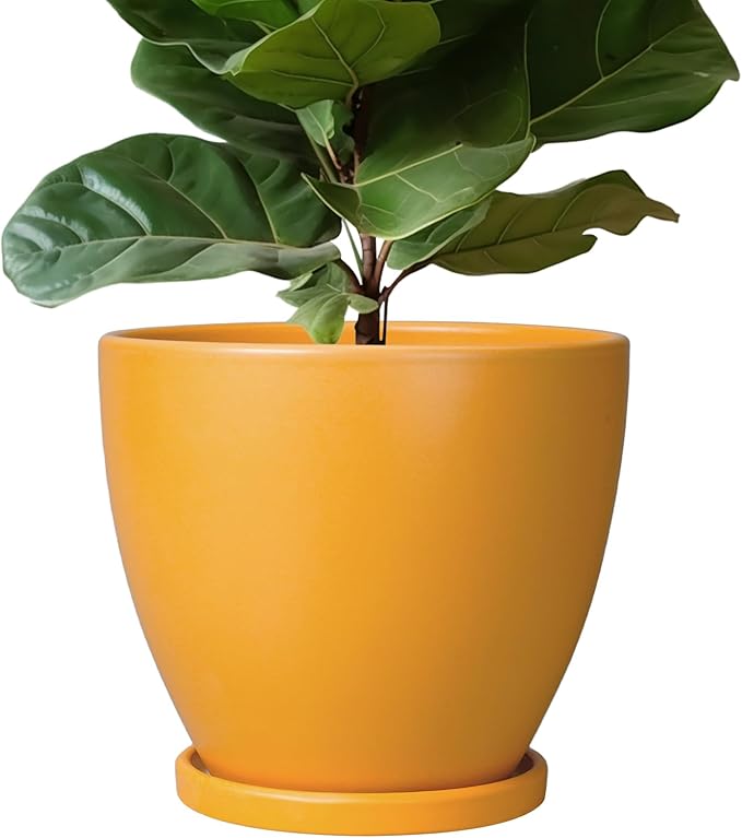 10 Inch Plant Pot - Ceramic Planter with Drainage Hole and Saucer, Modern Flower Pot, Round Planters for Indoor Plants, Home Patio Bathroom Porch Garden Living Room Decor, Orange