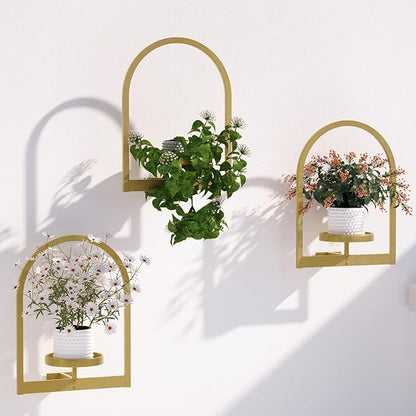 Wall Plant Holder, Wall Planter for Indoor Plants, Window Plant shelves for Multiple Plants Indoor Outdoor, Framed Plant Holder for Home Decor (3 Pack)
