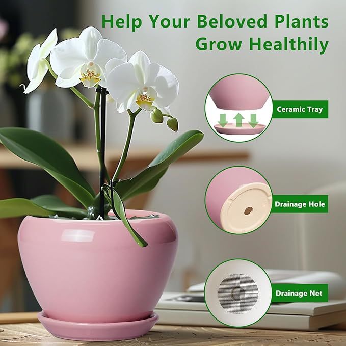 10 Inch Plant Pot - Ceramic Planter for Indoor Plants, Glaze Modern Round Planter with Drainage Hole and Saucer, Gifts for Plant Lovers, Office Patio Home Room Decor, Pink