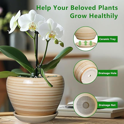 Planter 8 Inch - Indoor/Outdoor Ceramic Plant Pot With Drainage Hole and Saucer, Round Modern Flower Planter for Succulents, House, Patio - Yellow