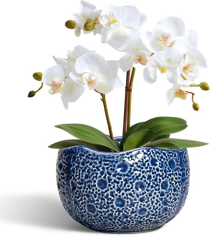 Orchid Pot - 6 Inch Ceramic Plant Pot for Indoor Outdoor, Round Unique Planters with Drainage Hole, Modern Round Decorative Flower Pots, Home Decor, Gifts for Plant Lovers, Blue