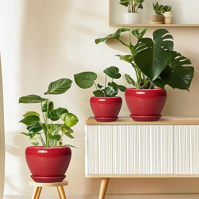 10 Inch Plant Pot - Ceramic Planter for Indoor Outdoor Plants, Glaze Modern Round Planter with Drainage Hole and Saucer, Gifts for Plant Lovers, Home Room Garden Decor, Red
