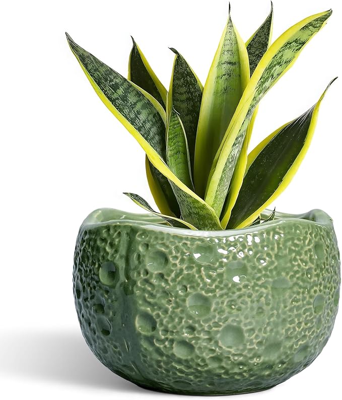 8 Inch Plant Pot - Ceramic Pots for Plants with Drainage Hole, Round Decorative Plant Pots for Indoor Outdoor, Modern Unique Flower Pot, Office Decor, Garden Gifts, Green