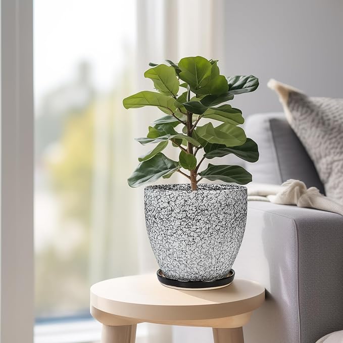 Ceramic Planter - 6.3 Inch Plant Pot for Indoor Ourdoor Plants, Round Succulent Planter, Decorative Flower Pots with Drainage Hole and Saucer, Home Desk Decor, Housewarming Gifts, White-black