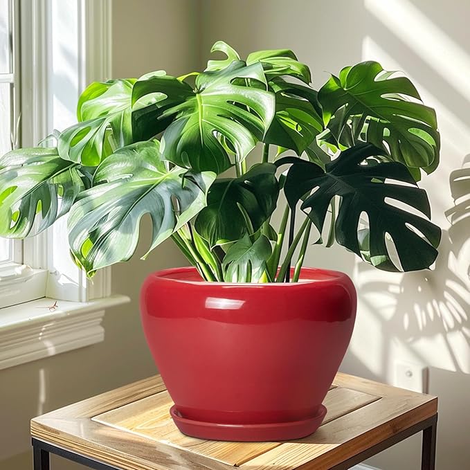 10 Inch Plant Pot - Ceramic Planter for Indoor Outdoor Plants, Glaze Modern Round Planter with Drainage Hole and Saucer, Gifts for Plant Lovers, Home Room Garden Decor, Red