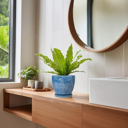 6 Inch Ceramic Plant Pot - Ceramic Planters with Drainage Hole and Saucer, Round Decorative Planter, Modern Planters for Indoor Outdoor Plants, Desk Office Decor, Housewarming Gifts, Blue