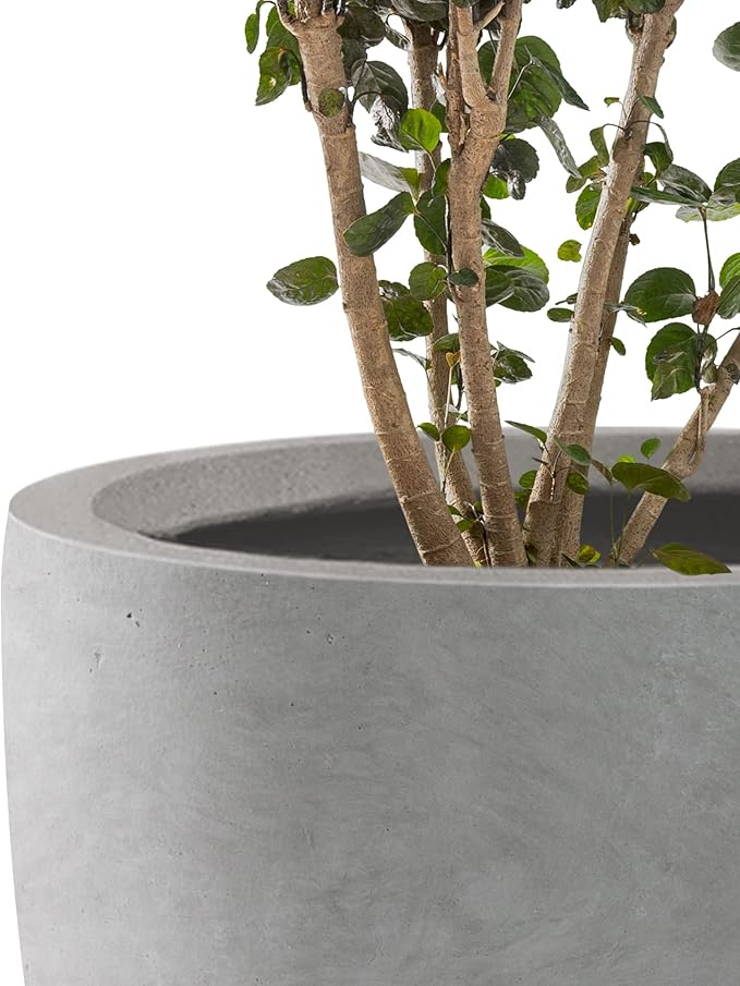 Kante 16.5" Dia Round Concrete Planter, Large Outdoor Modern Indoor Decorative Plant Pots with Drainage Hole and Rubber Plug for Home and Garden, Natural Concrete