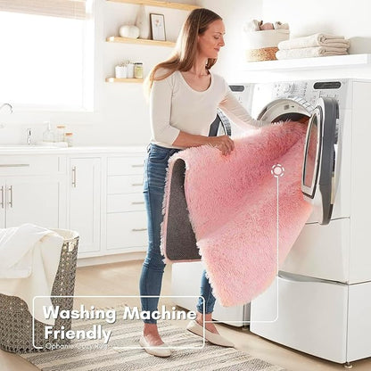 Ophanie 4x6 Pink Rugs for Bedroom Girls, Machine Washable Fluffy Shaggy Soft Cute Area Rug, Non-Slip Indoor Floor Carpet for Living Room, Kids Baby Teen Dorm Home Decor Aesthetic, Nursery
