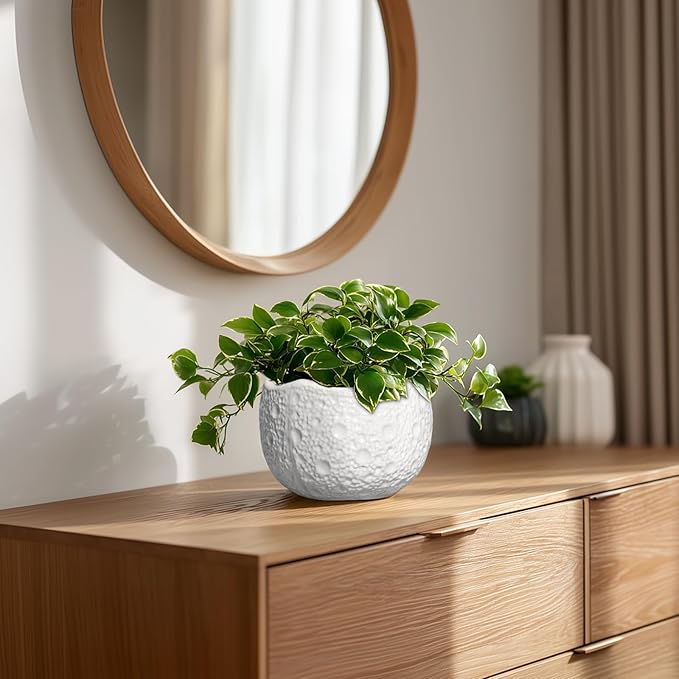 Ceramic Pots for Plants - 6 Inch Plant Pot for Indoor Outdoor, Decorative Orchid Pots with Drainage Hole, Unique Round Modern Planters, Home Decor, Gifts for Plant Lovers, White