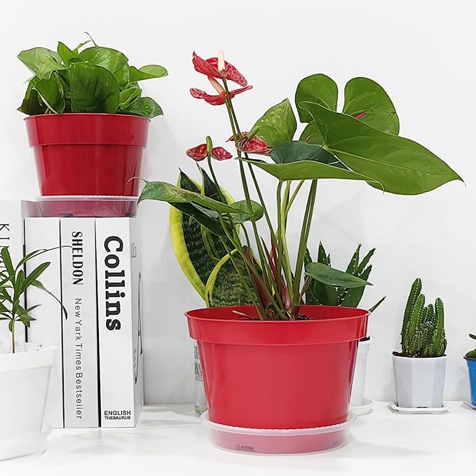 8 inch Plastic Flower Pots, Red Plant Pots 12Pack with Saucers for Indoor House Plants Growing and Decoration