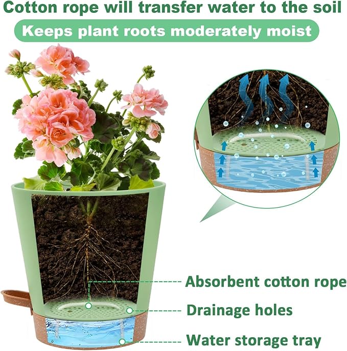 5in Self Watering Pots for Indoor Plants - 3pcs Bottom Watering African Violet Planters with Drainage, Plastic Houseplant Flower Pots for Venus Fly Trap Snake Plant Succulent Garden Live Plants