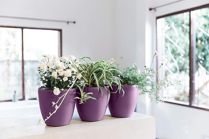 GARDENIX DECOR Self Watering Pots for Indoor Plants 3 Pack - Flower Pot with Water Level Indicator for Plants, Grow Tracking Tool - Self Watering Planter Plant Pot - Coco Coir - Purple
