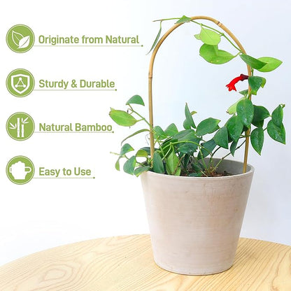 Avalution 16" Natural Bamboo Plants Trellis U-Hoop,Bamboo Gaeden Trellis U-Shape for Climbing Plant Support-10PCS
