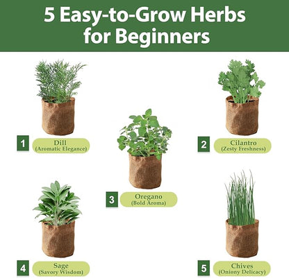 5 Herb Garden Planter Indoor with Wooden Box, Home Kitchen Seed Starter Kit Including Dill, Cilantro, Oregano, Sage, Chives, Birthday, Mothers Day, House Warming, Gardening Gifts for Women, Mom