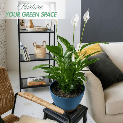 8/10/12 Inch Large Self Watering Pots for Indoor Plants Plastic Plant Pot for Outdoor Plants, Water Level Window & Spacious Reservoir Flower Pots Decorative Planter with Drainage and Tray (Blue)