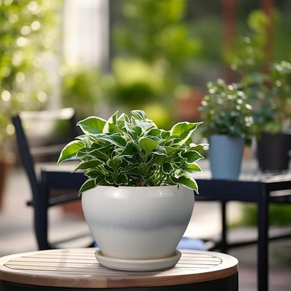 Planter Pot 6 Inch - Ceramic Plant Pot with Drainage Hole and Saucer, Round Glaze Succulent Pot for Plants, White